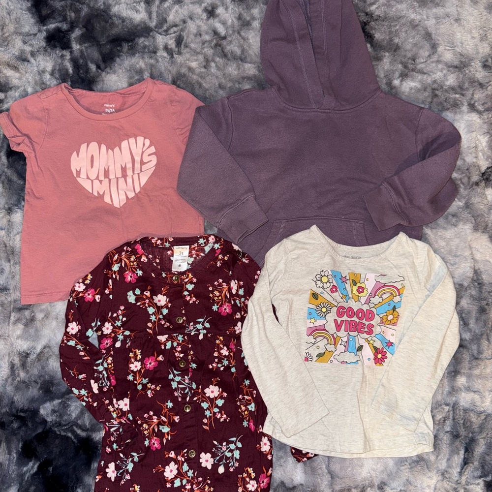 BUNDLE - 4 Toddler Girl Tops, all size 3T